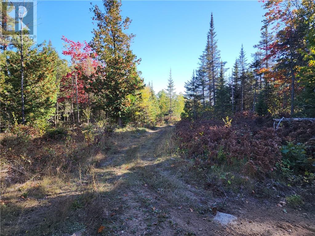 L12&l13 C8 Evergreen Ln, Spring Bay, Ontario  P0P 2B0 - Photo 42 - 2126619