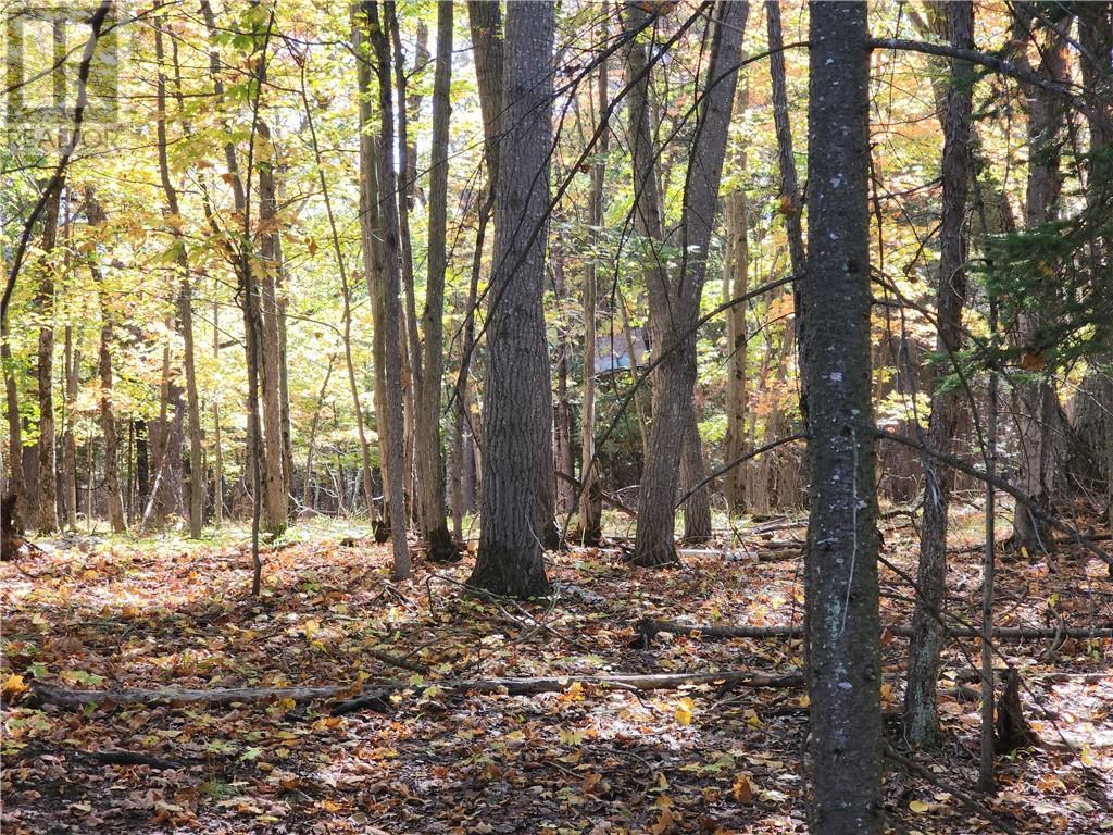 L12&l13 C8 Evergreen Ln, Spring Bay, Ontario  P0P 2B0 - Photo 6 - 2126619