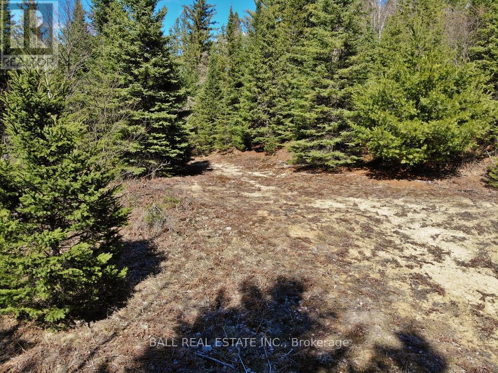 N/a Maynooth, Hastings Highlands, Ontario  K0L 2S0 - Photo 10 - X12844142