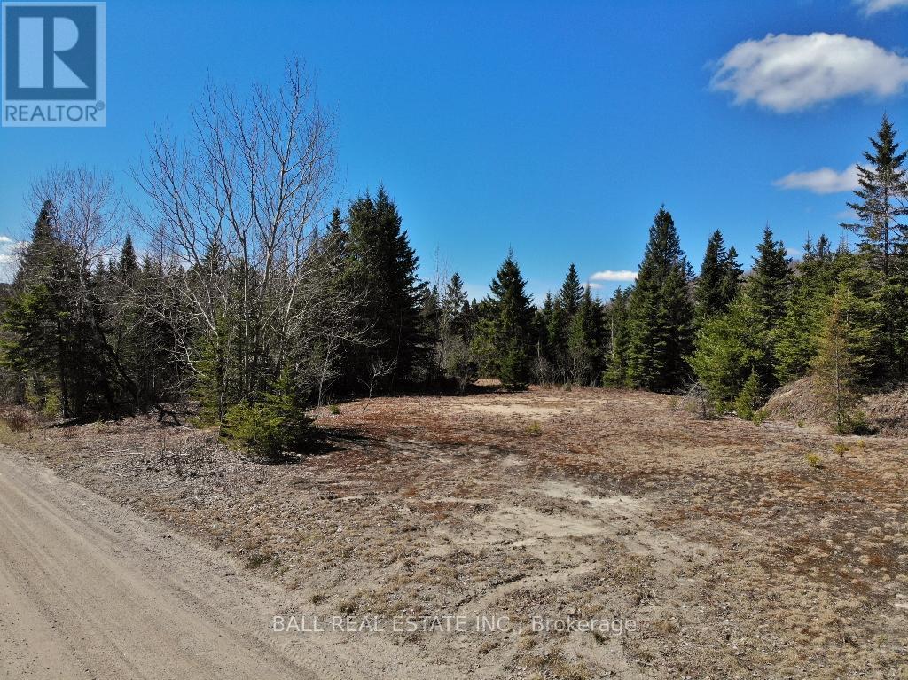 N/a Maynooth, Hastings Highlands, Ontario  K0L 2S0 - Photo 12 - X12844142