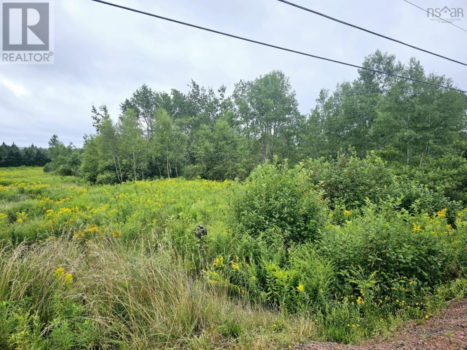 Lot 24-10 East Mountain Road, East Mountain, Nova Scotia  B6L 2E3 - Photo 6 - 202601950