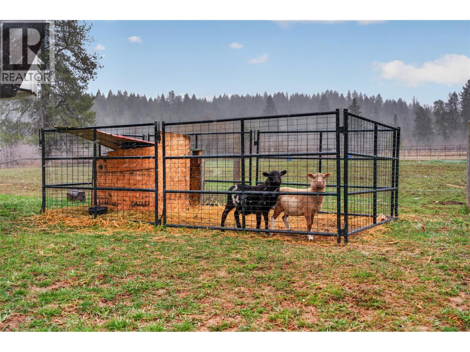 7330 Jaffray Village Loop Road, Jaffray, British Columbia  V0B 1T0 - Photo 28 - 10383692