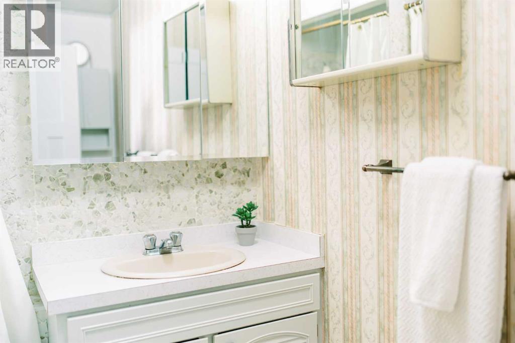 221 4th Avenue S, Big Valley, Alberta  T0J 0G0 - Photo 19 - A2277449