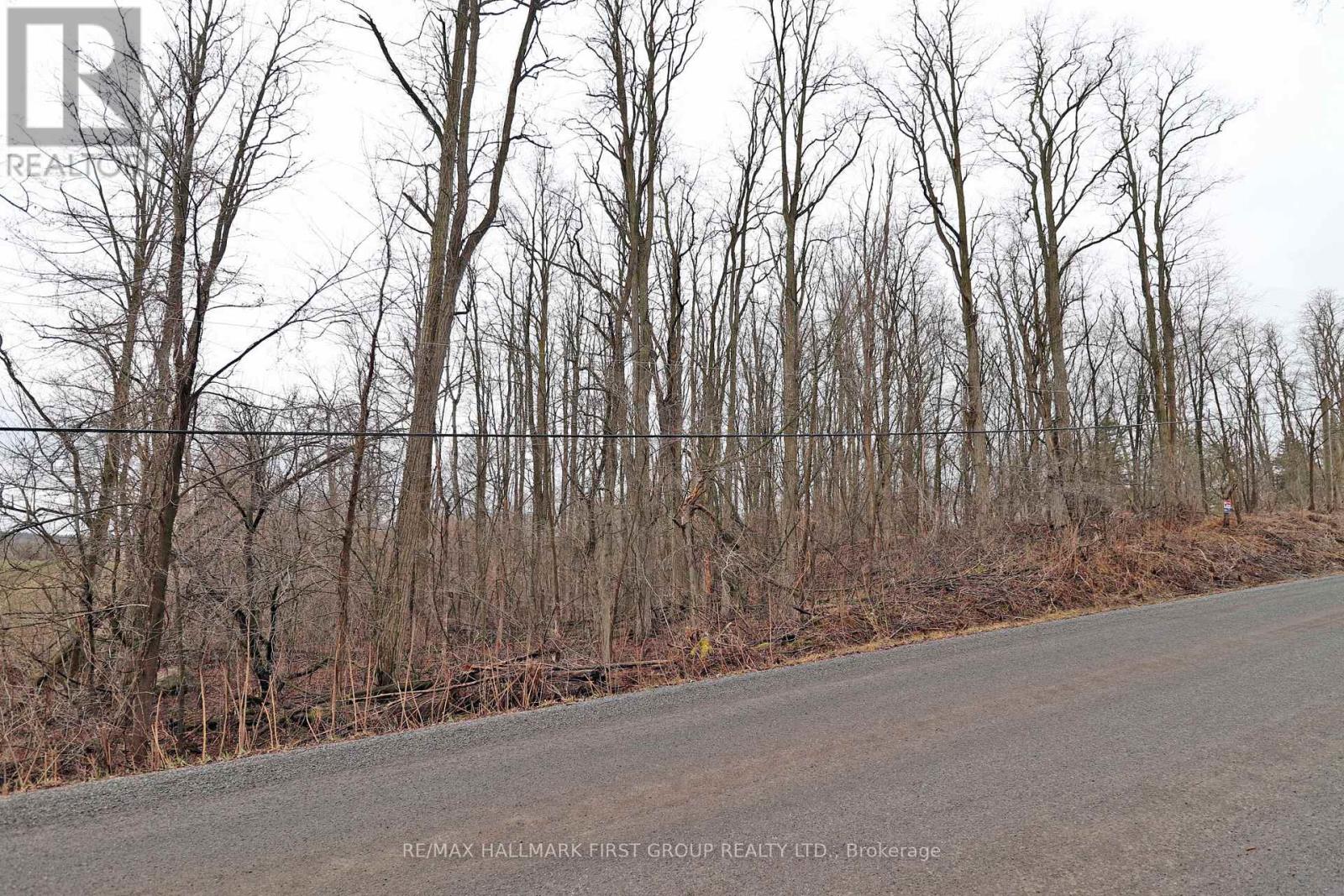 207 Goodfellow Road, Brighton, Ontario  K0K 1R0 - Photo 3 - X12850612