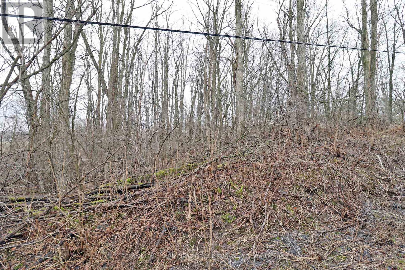 207 Goodfellow Road, Brighton, Ontario  K0K 1R0 - Photo 6 - X12850612