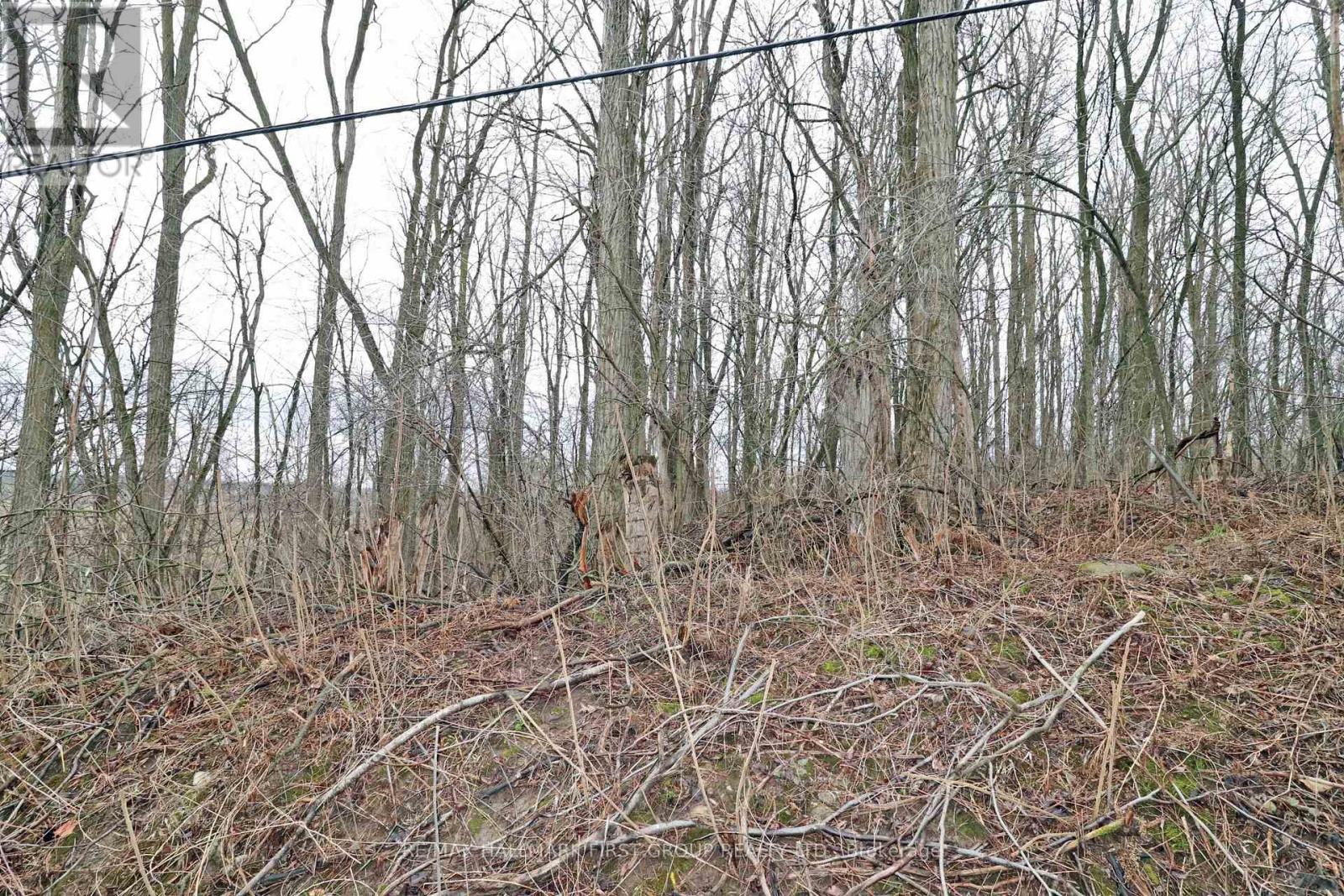 207 Goodfellow Road, Brighton, Ontario  K0K 1R0 - Photo 8 - X12850612