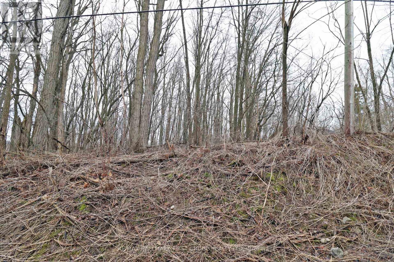 207 Goodfellow Road, Brighton, Ontario  K0K 1R0 - Photo 9 - X12850612