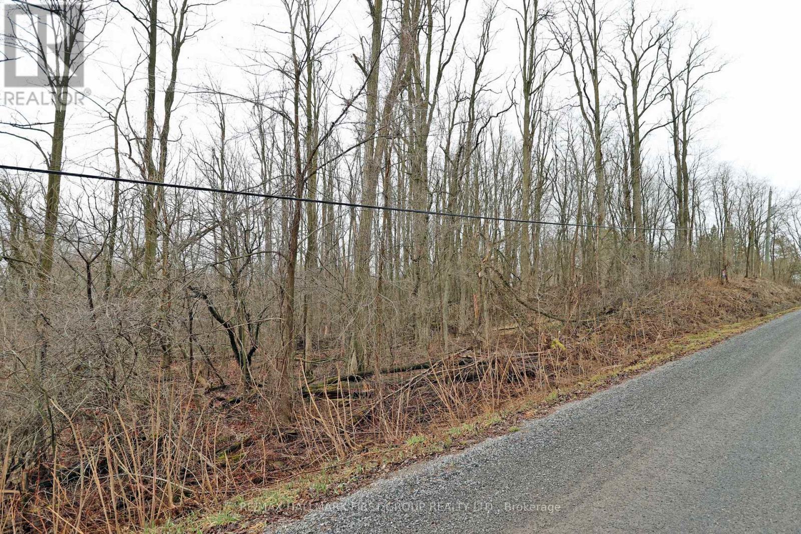 207 Goodfellow Road, Brighton, Ontario  K0K 1R0 - Photo 4 - X12850612