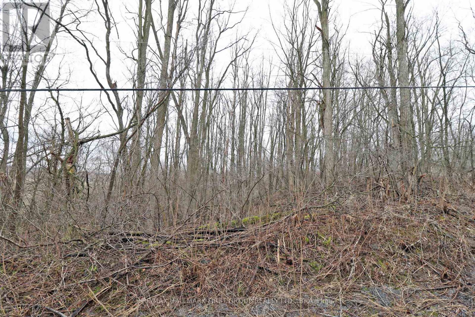 207 Goodfellow Road, Brighton, Ontario  K0K 1R0 - Photo 7 - X12850612