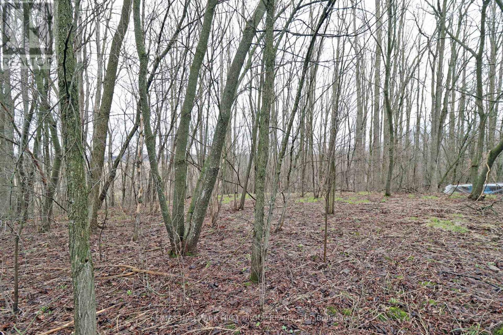 207 GOODFELLOW ROAD, Brighton, Ontario