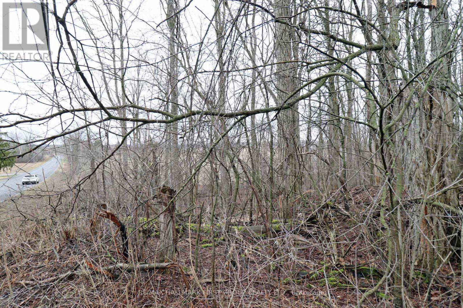 207 Goodfellow Road, Brighton, Ontario  K0K 1R0 - Photo 14 - X12850612