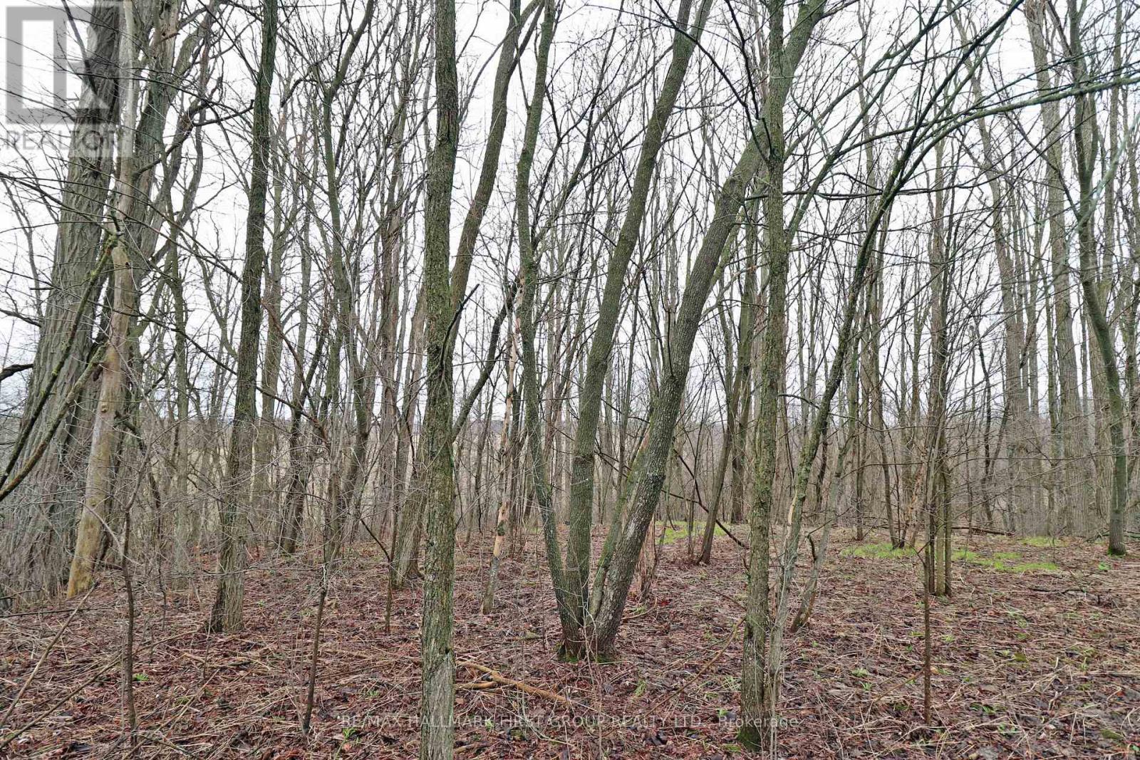 207 Goodfellow Road, Brighton, Ontario  K0K 1R0 - Photo 27 - X12850612