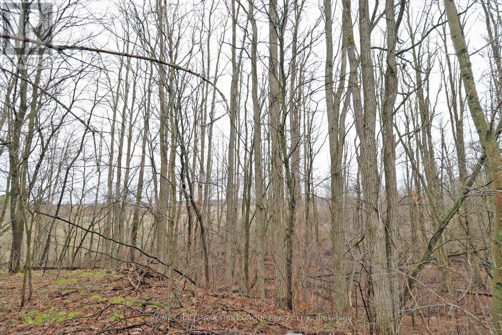 207 Goodfellow Road, Brighton, Ontario  K0K 1R0 - Photo 21 - X12850612