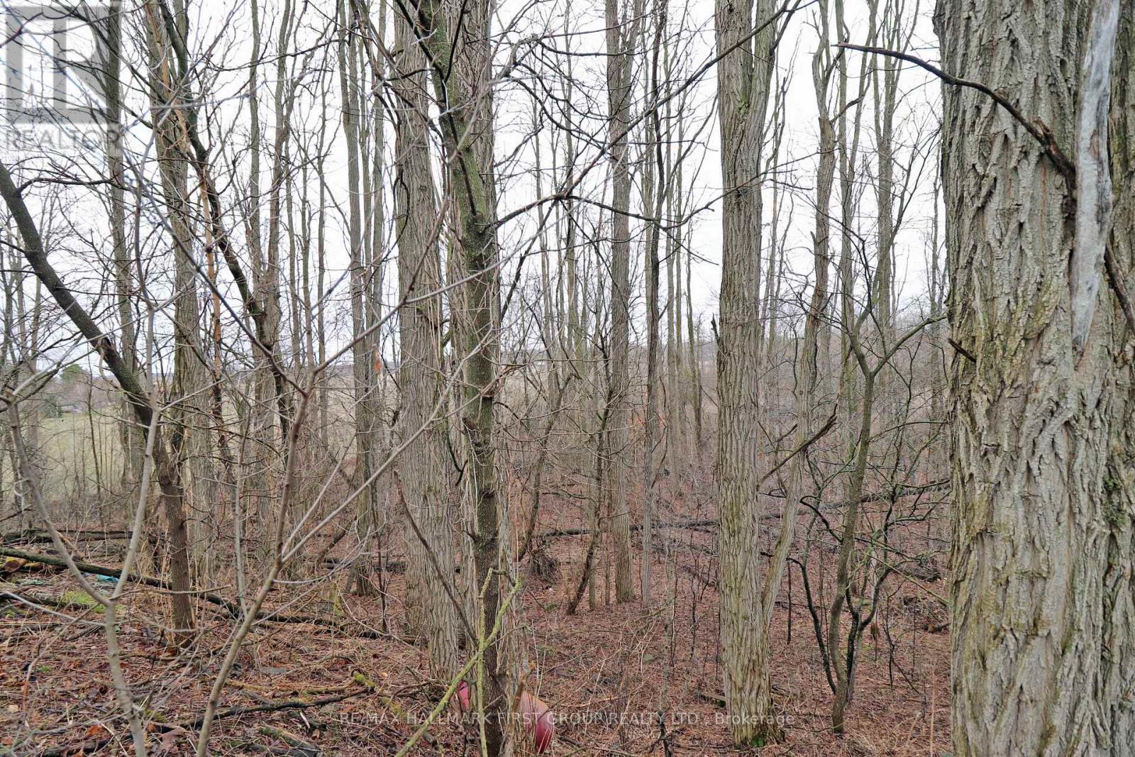 207 Goodfellow Road, Brighton, Ontario  K0K 1R0 - Photo 23 - X12850612