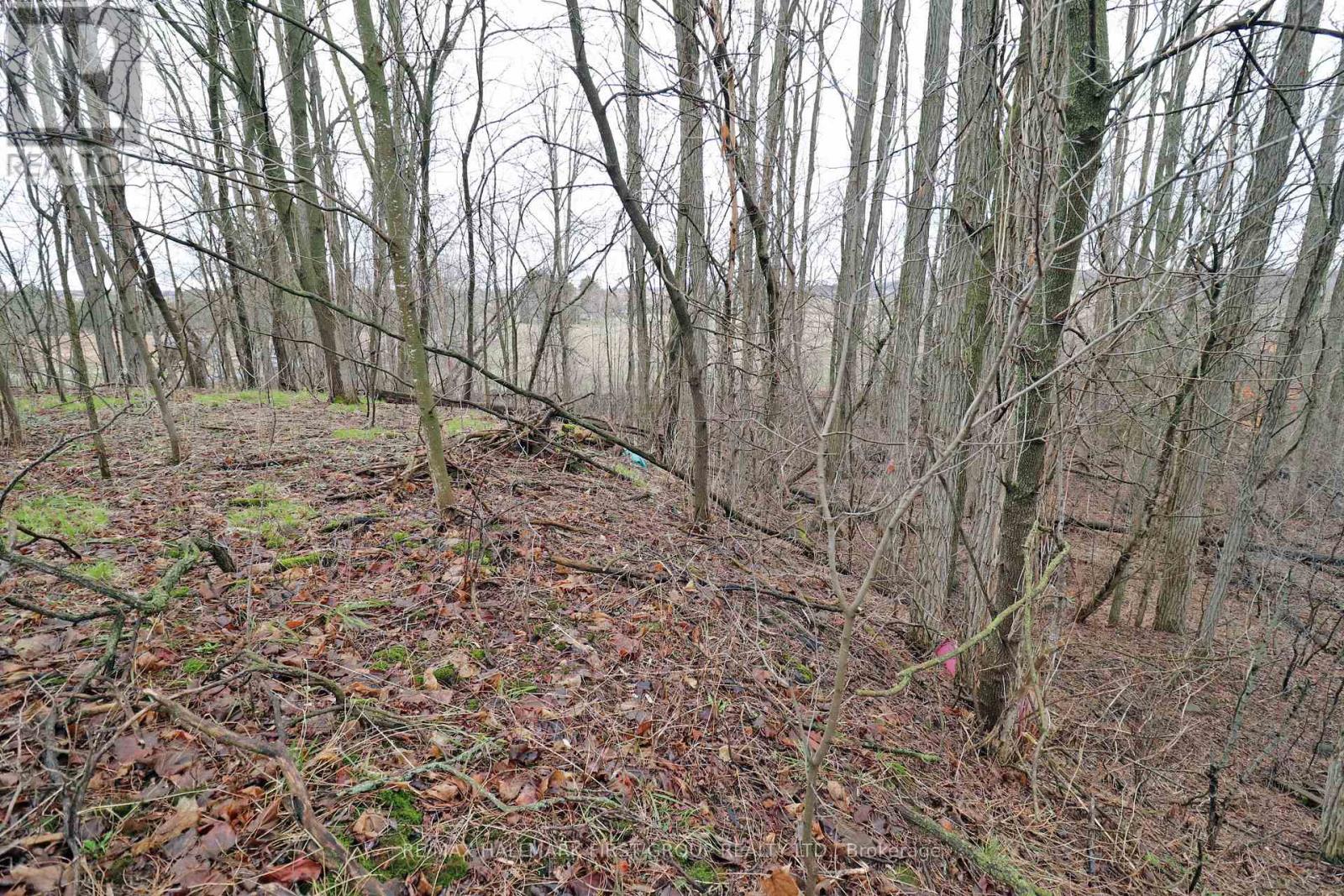 207 Goodfellow Road, Brighton, Ontario  K0K 1R0 - Photo 25 - X12850612