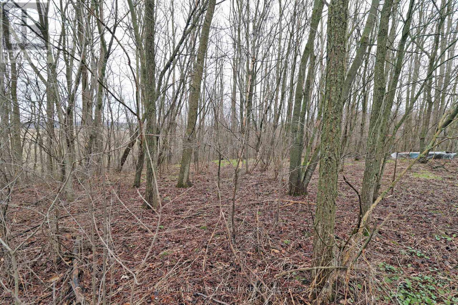 207 Goodfellow Road, Brighton, Ontario  K0K 1R0 - Photo 16 - X12850612