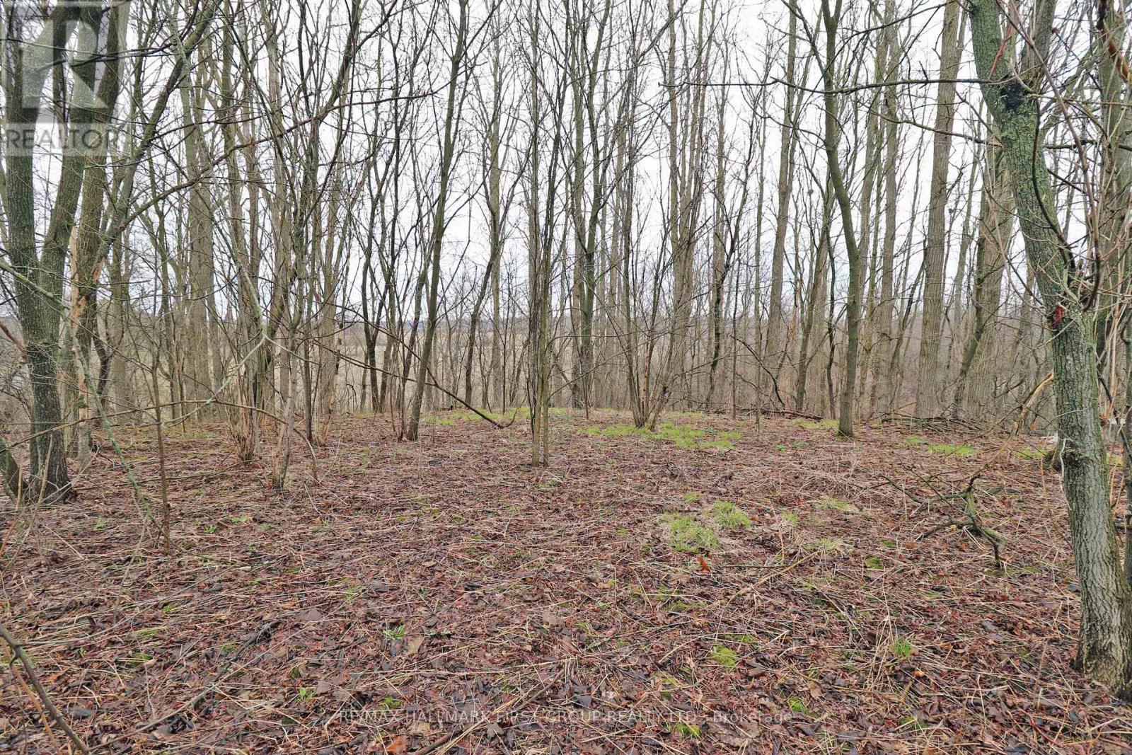 207 Goodfellow Road, Brighton, Ontario  K0K 1R0 - Photo 18 - X12850612