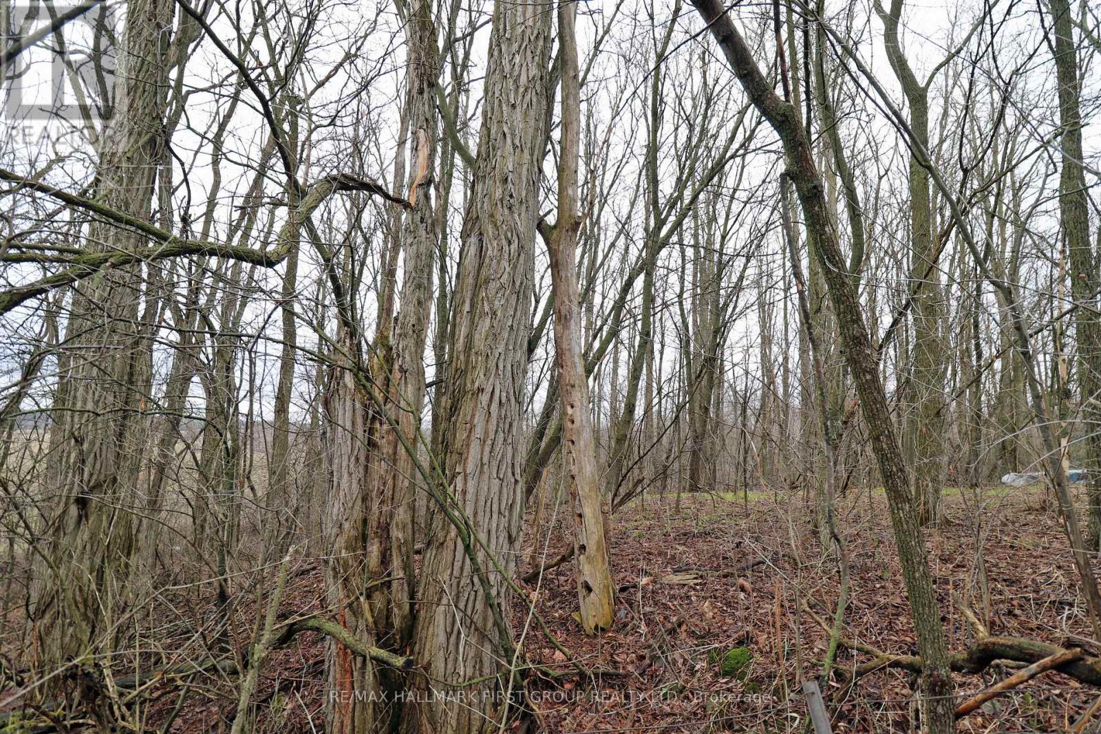 207 Goodfellow Road, Brighton, Ontario  K0K 1R0 - Photo 15 - X12850612