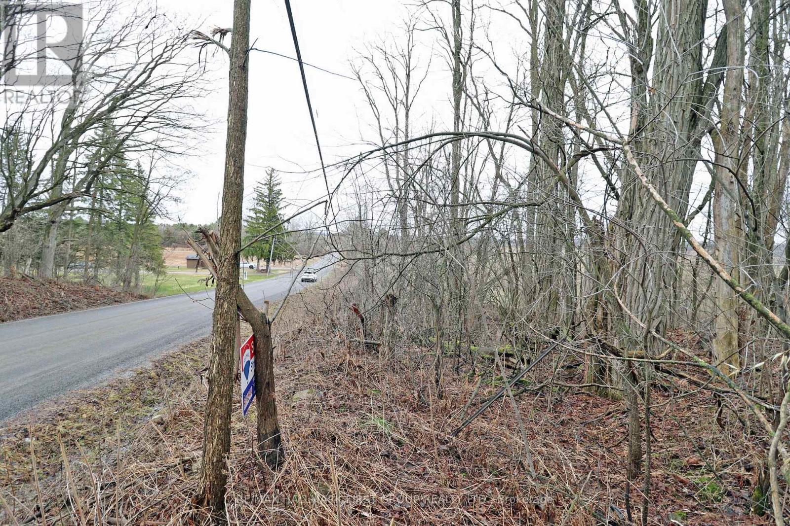 207 Goodfellow Road, Brighton, Ontario  K0K 1R0 - Photo 28 - X12850612