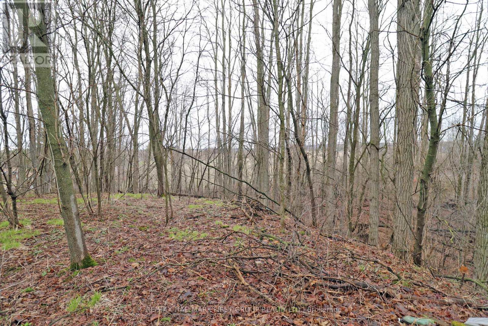 207 Goodfellow Road, Brighton, Ontario  K0K 1R0 - Photo 22 - X12850612