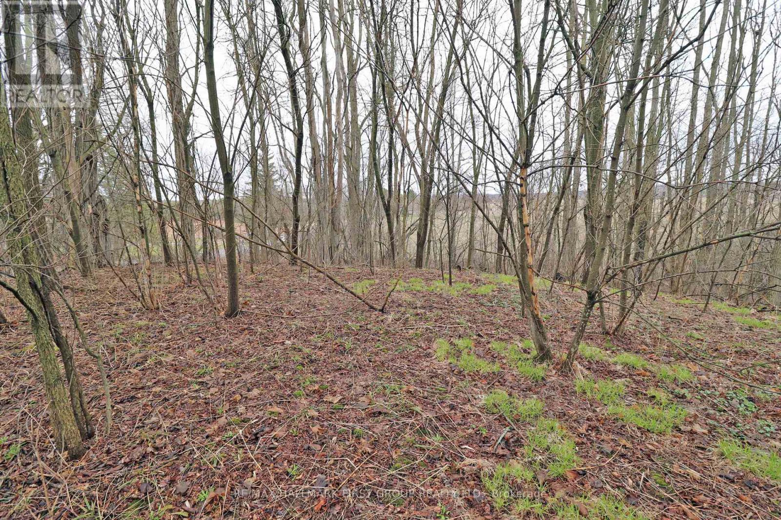 207 Goodfellow Road, Brighton, Ontario  K0K 1R0 - Photo 20 - X12850612