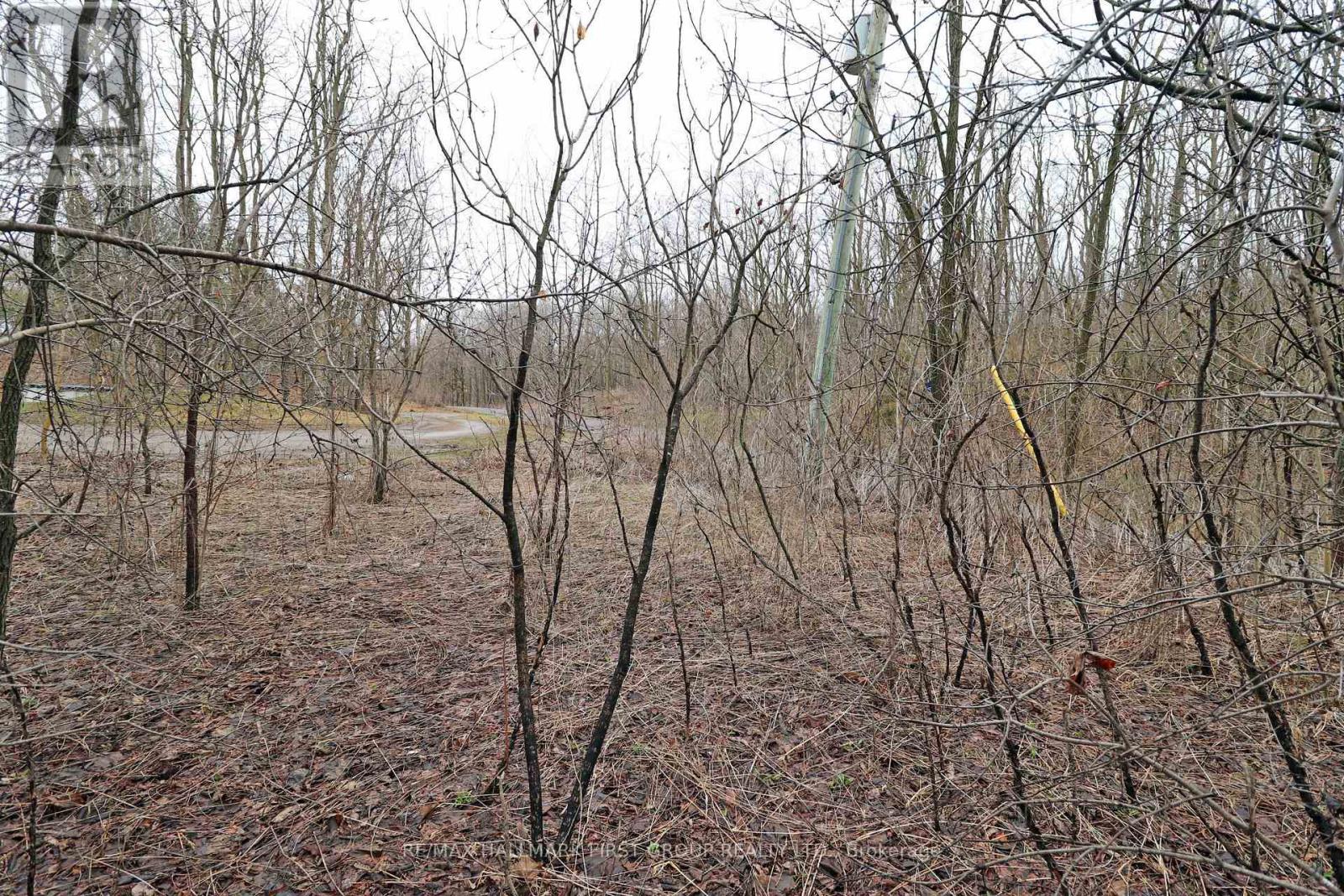 207 Goodfellow Road, Brighton, Ontario  K0K 1R0 - Photo 17 - X12850612