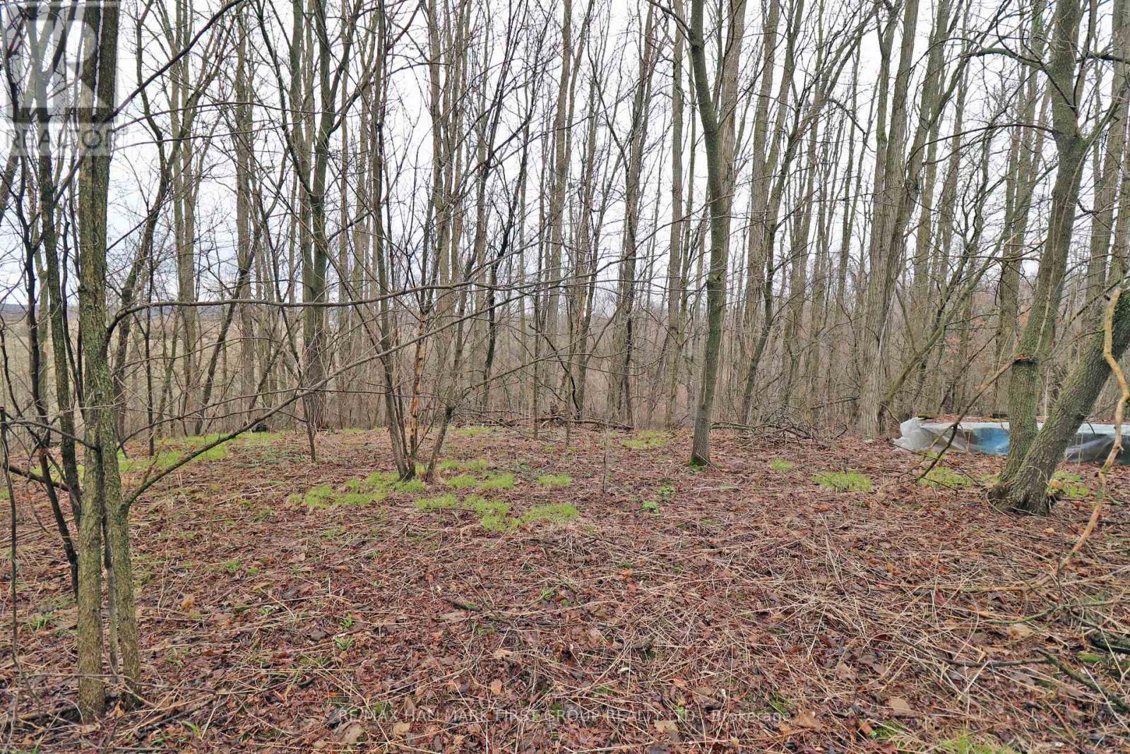 207 Goodfellow Road, Brighton, Ontario  K0K 1R0 - Photo 19 - X12850612