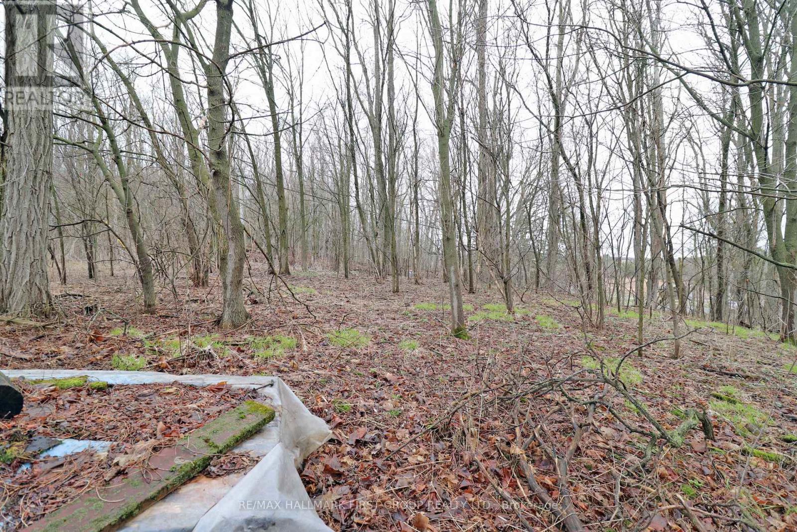 207 Goodfellow Road, Brighton, Ontario  K0K 1R0 - Photo 26 - X12850612