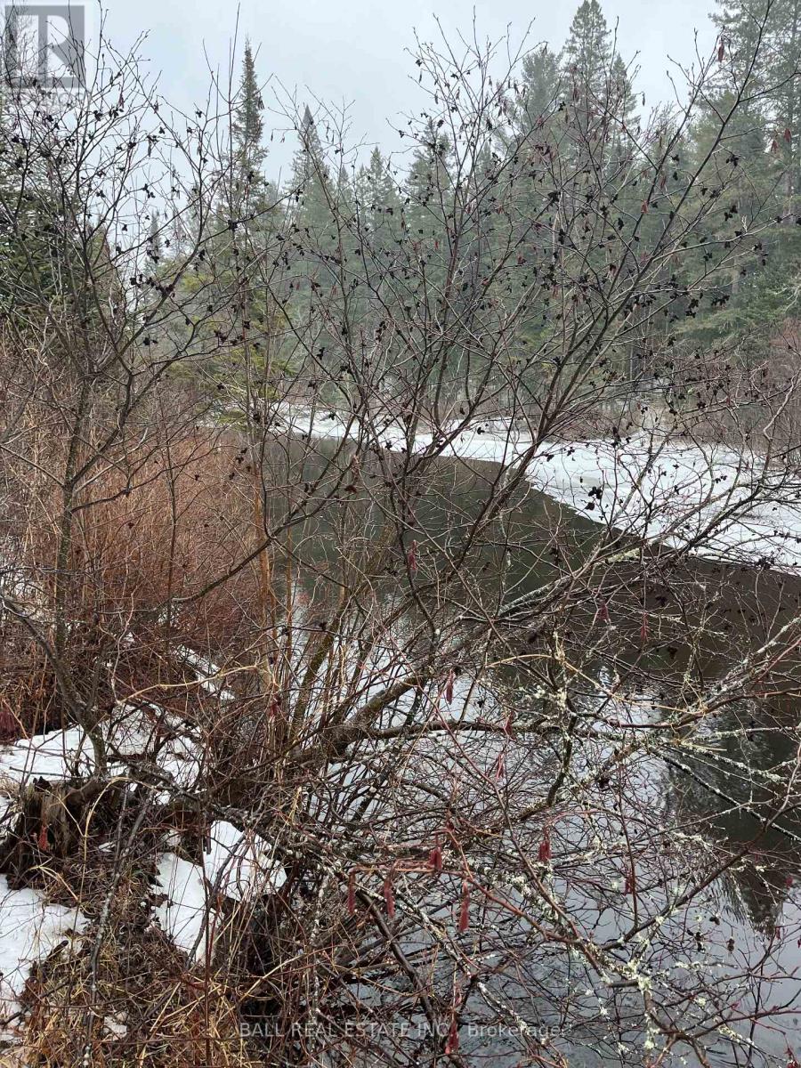 618c Boulter Road S, Hastings Highlands, Ontario  K0L 2S0 - Photo 6 - X13014320