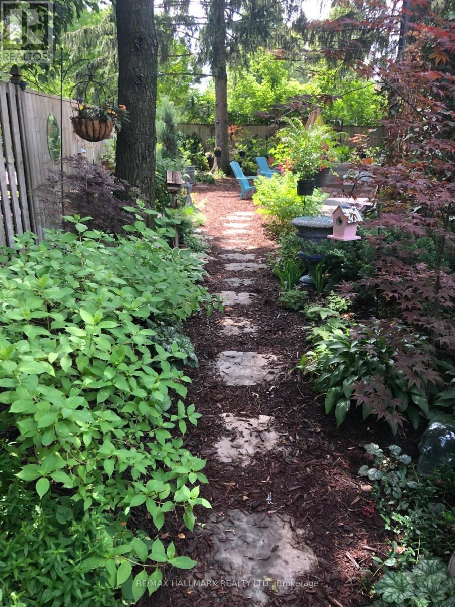 203 Elmhurst Avenue, Toronto, Ontario  M2N 1S2 - Photo 17 - C12847938