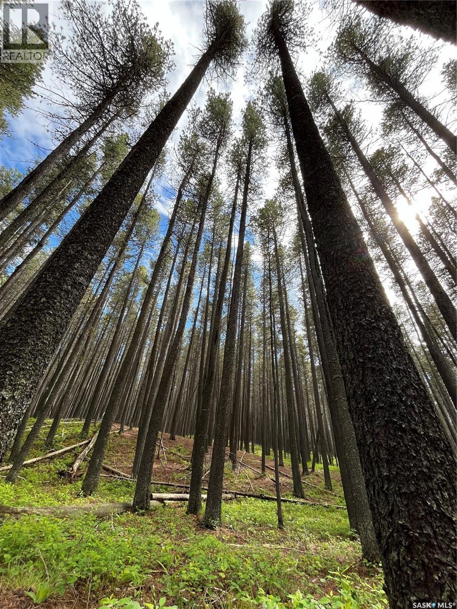Cypress Hills Segway Tours, Cypress Hills Provincial Park, Saskatchewan  S0N 1N0 - Photo 25 - SK033272