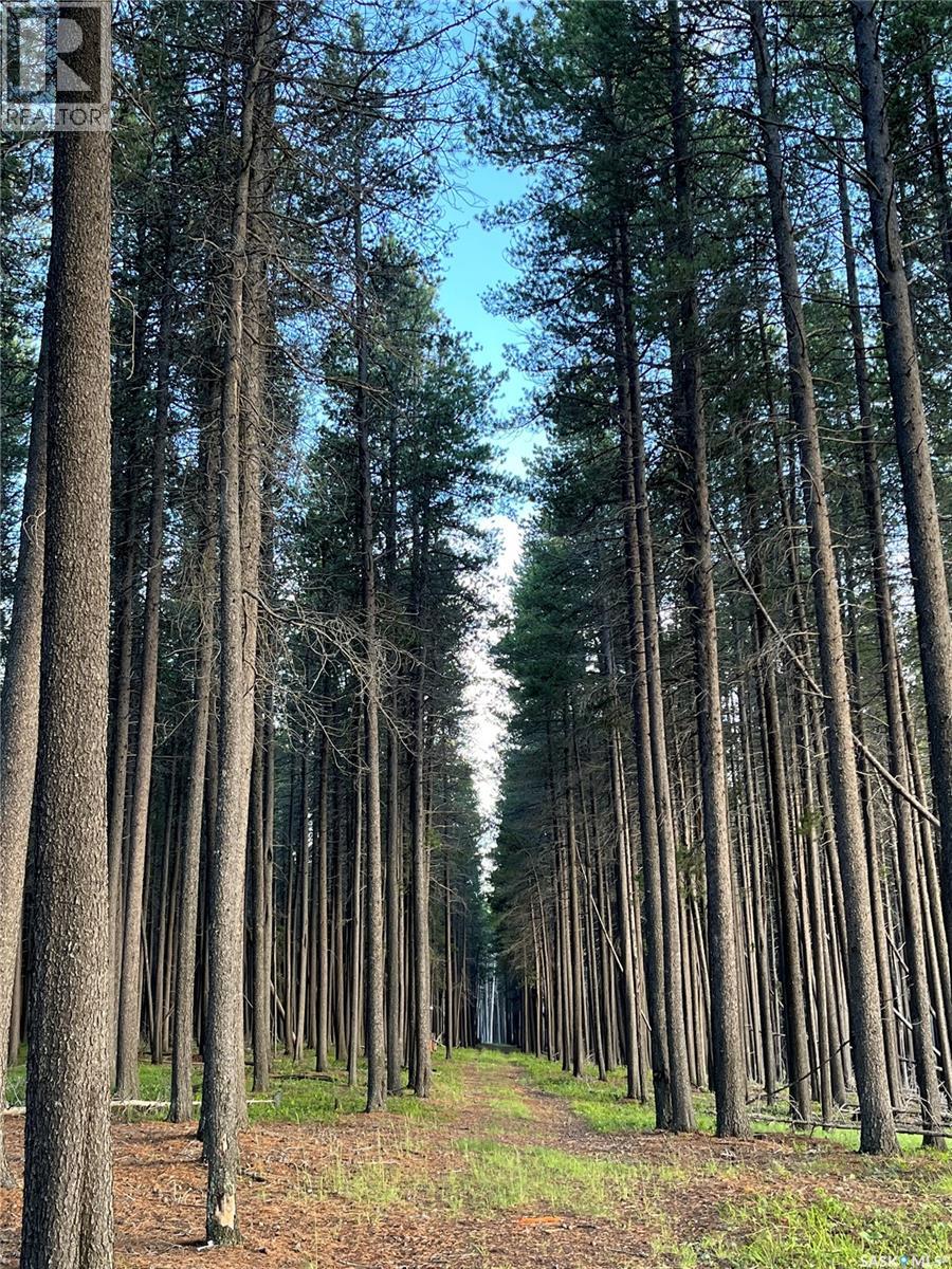 Cypress Hills Segway Tours, Cypress Hills Provincial Park, Saskatchewan  S0N 1N0 - Photo 28 - SK033272