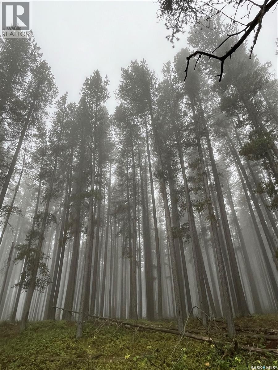 Cypress Hills Segway Tours, Cypress Hills Provincial Park, Saskatchewan  S0N 1N0 - Photo 33 - SK033272