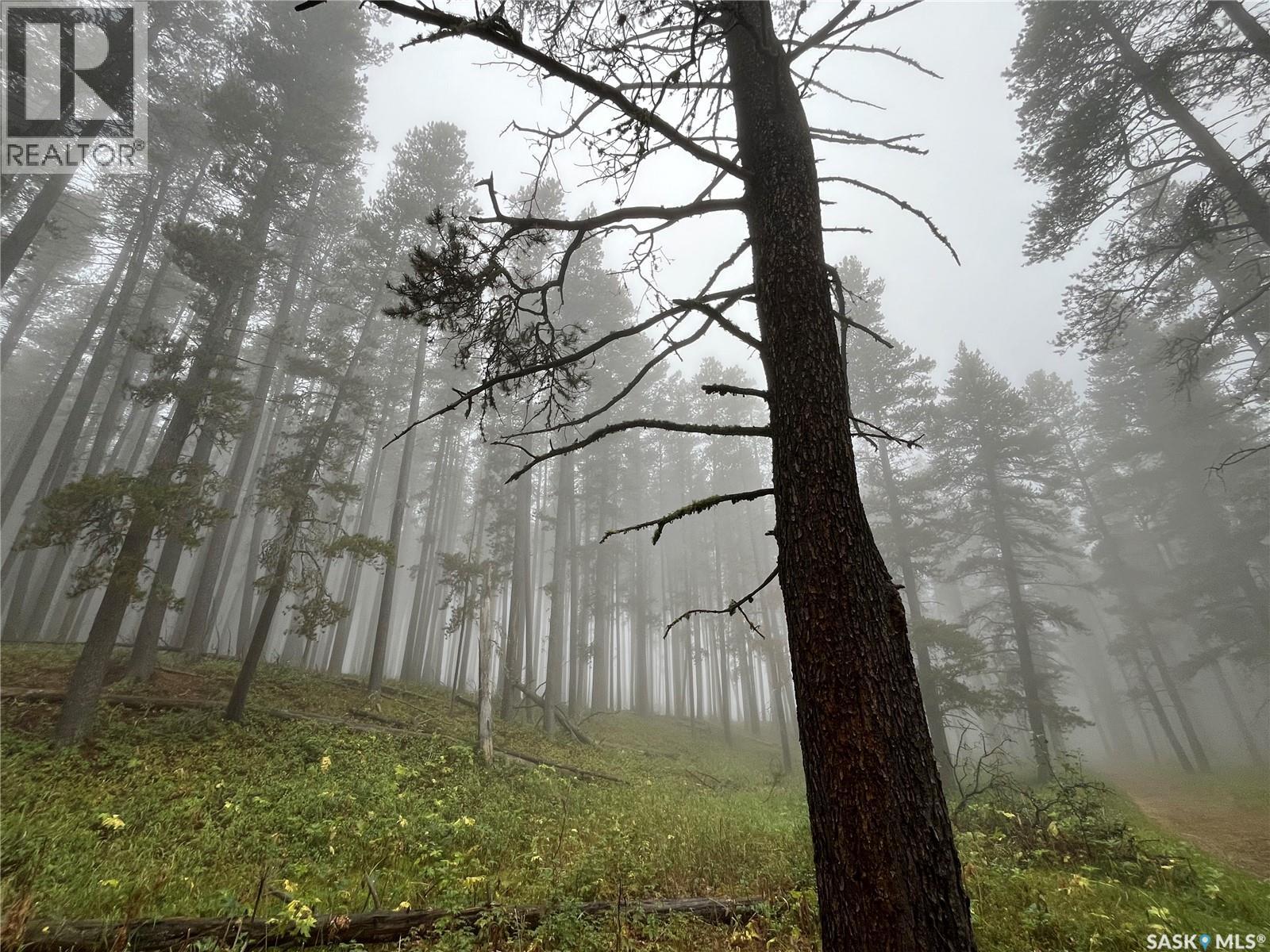 Cypress Hills Segway Tours, Cypress Hills Provincial Park, Saskatchewan  S0N 1N0 - Photo 34 - SK033272