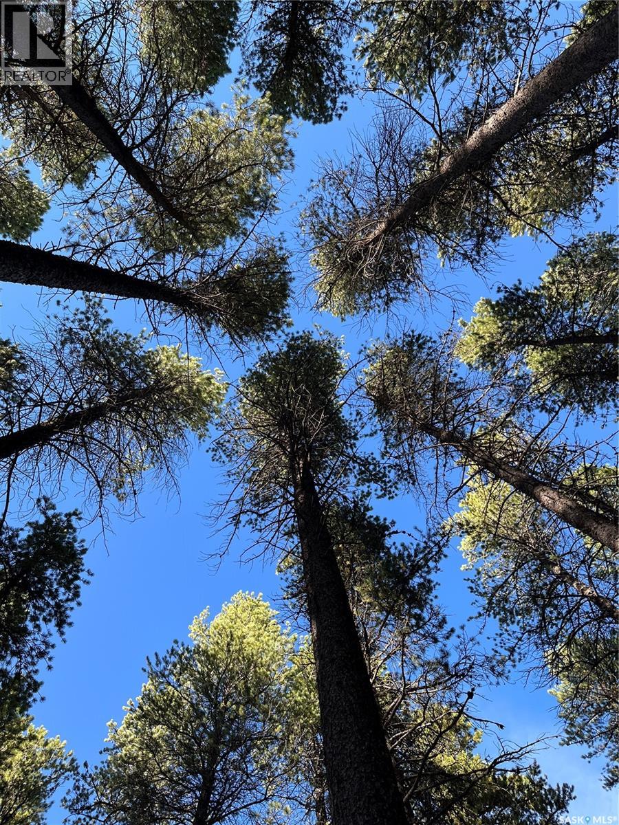 Cypress Hills Segway Tours, Cypress Hills Provincial Park, Saskatchewan  S0N 1N0 - Photo 35 - SK033272