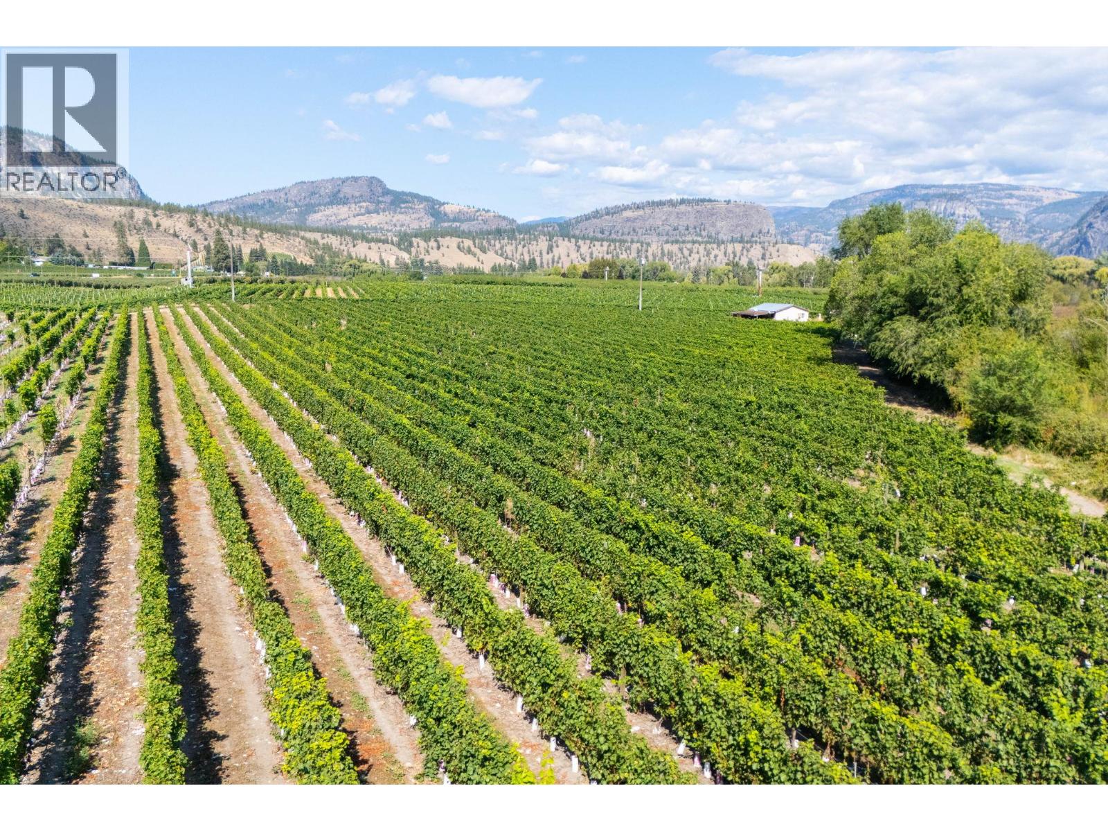 7337 Highway 97, Oliver, British Columbia  V0H 1T5 - Photo 11 - 10383870