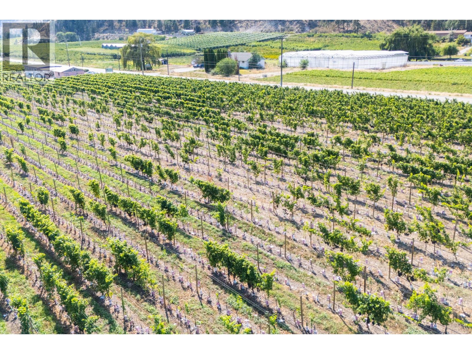 7337 Highway 97, Oliver, British Columbia  V0H 1T5 - Photo 13 - 10383870