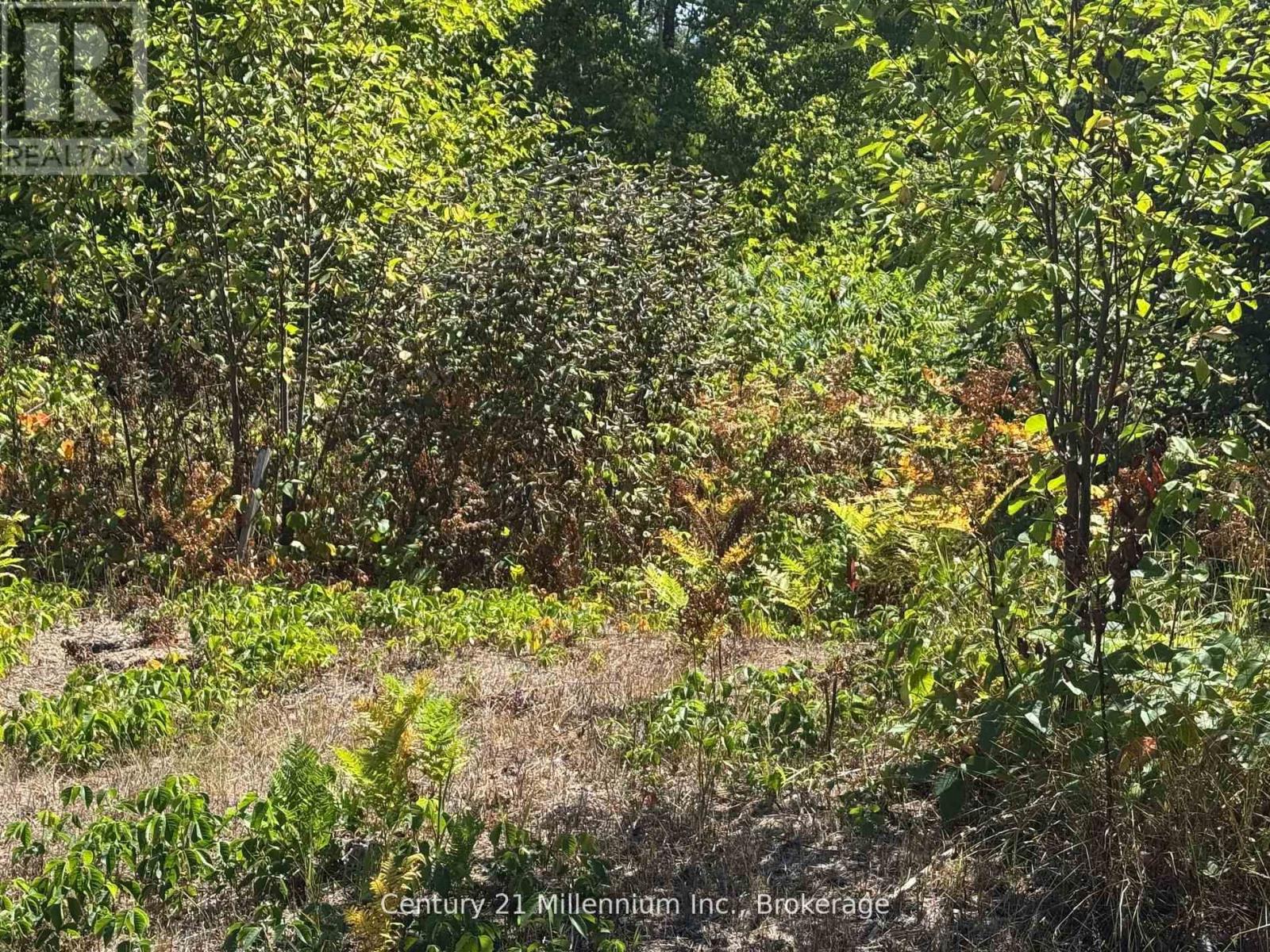 931 RIVER ROAD E, Wasaga Beach, Ontario