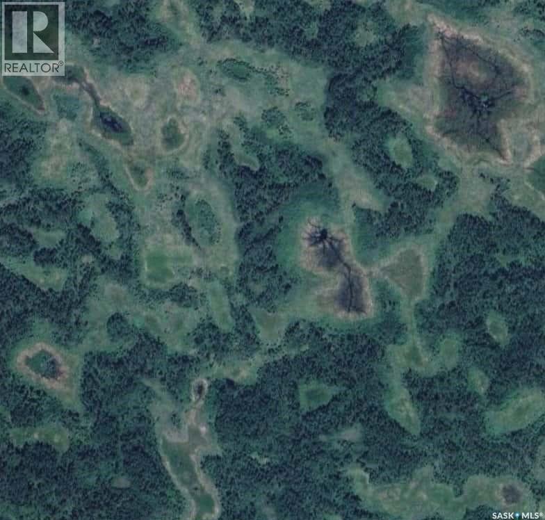 Bl Wildlife Pasture, Insinger Rm No. 275, Saskatchewan  S0A 3T0 - Photo 4 - SK033276