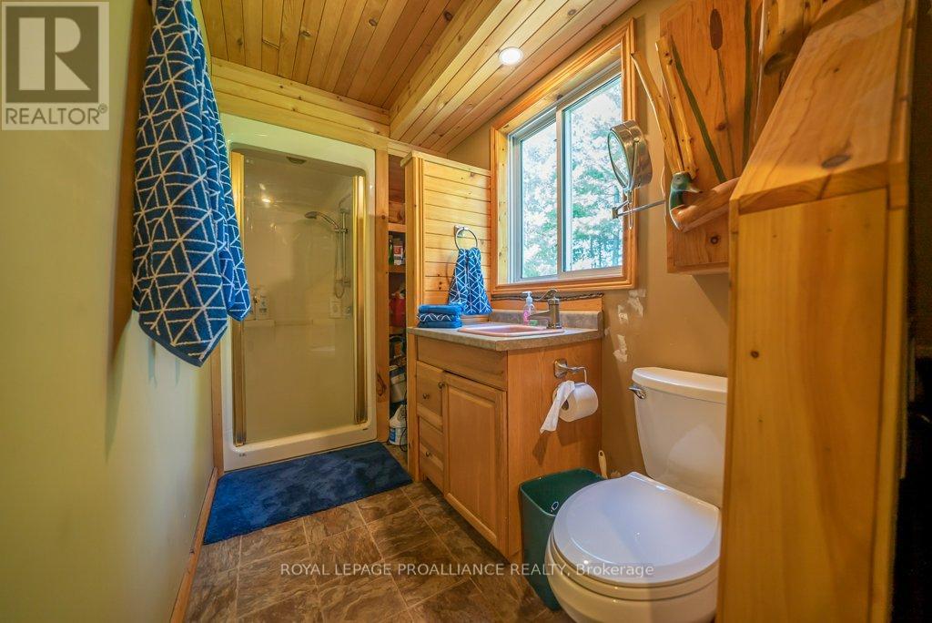 2475 Alfs Bay Lane, Frontenac, Ontario  K0H 1B0 - Photo 29 - X13013640