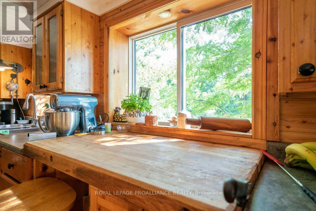 2475 Alfs Bay Lane, Frontenac, Ontario  K0H 1B0 - Photo 18 - X13013640