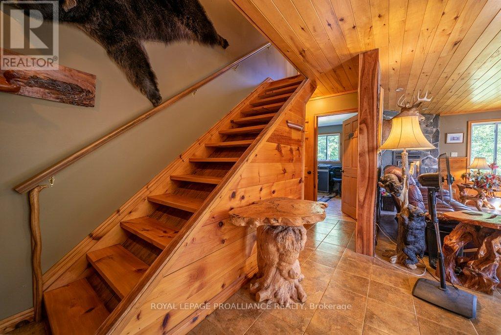 2475 Alfs Bay Lane, Frontenac, Ontario  K0H 1B0 - Photo 30 - X13013640