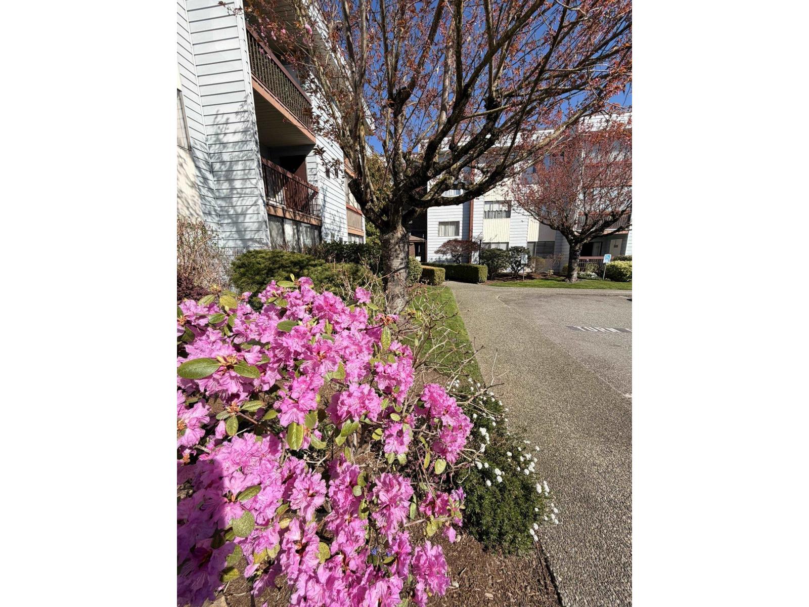 302 2279 Mccallum Road, Abbotsford, British Columbia  V2S 3N7 - Photo 2 - R3108164