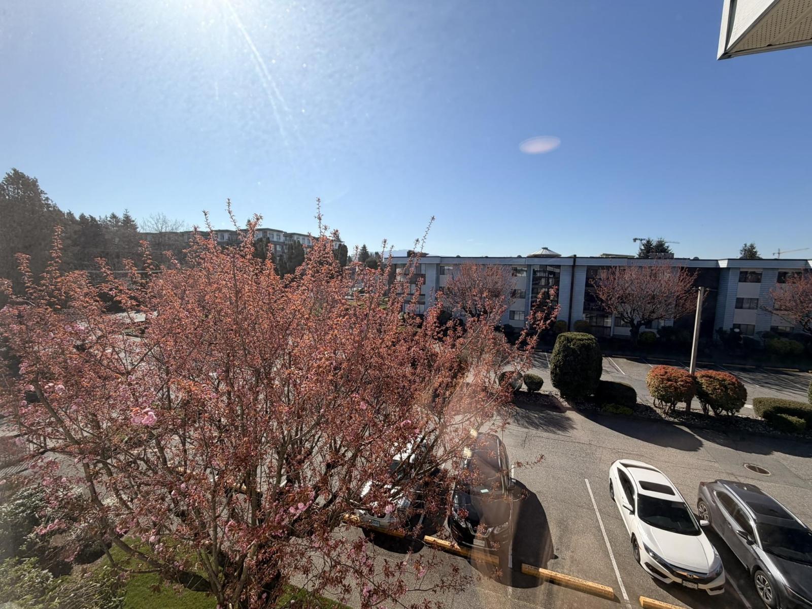 302 2279 Mccallum Road, Abbotsford, British Columbia  V2S 3N7 - Photo 7 - R3108164