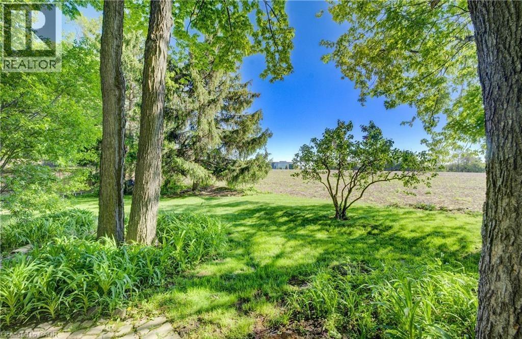 239 Corrie Crescent, Waterloo, Ontario  N2L 5W3 - Photo 50 - 40813851