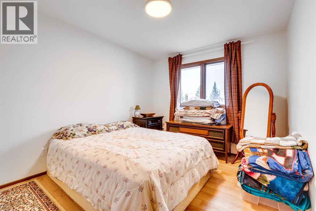 520 8 Street SE, Three Hills, Alberta  T0M 2A0 - Photo 21 - A2302460