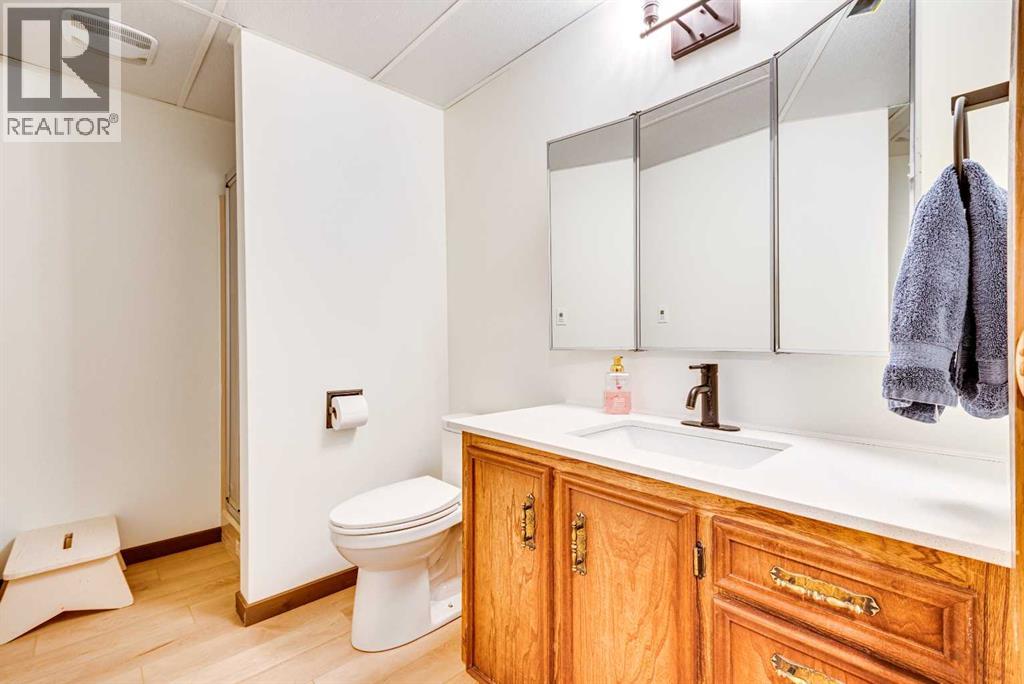 520 8 Street SE, Three Hills, Alberta  T0M 2A0 - Photo 38 - A2302460