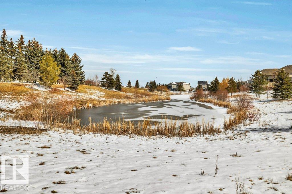 53-841 156 St NW NW, Edmonton, Alberta  T6R 0B3 - Photo 59 - E4482956