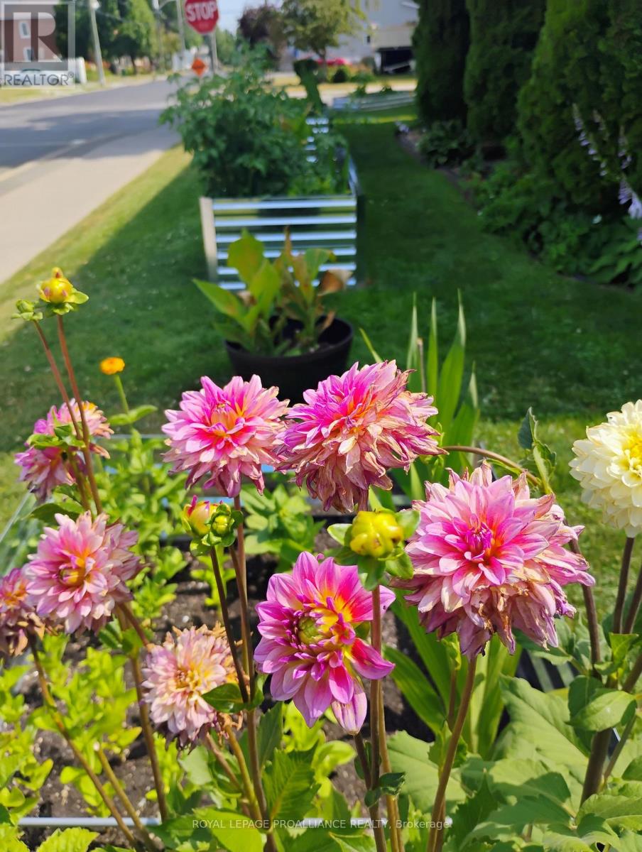 30 Catharine Street, Belleville, Ontario  K8P 1L5 - Photo 33 - X13013840