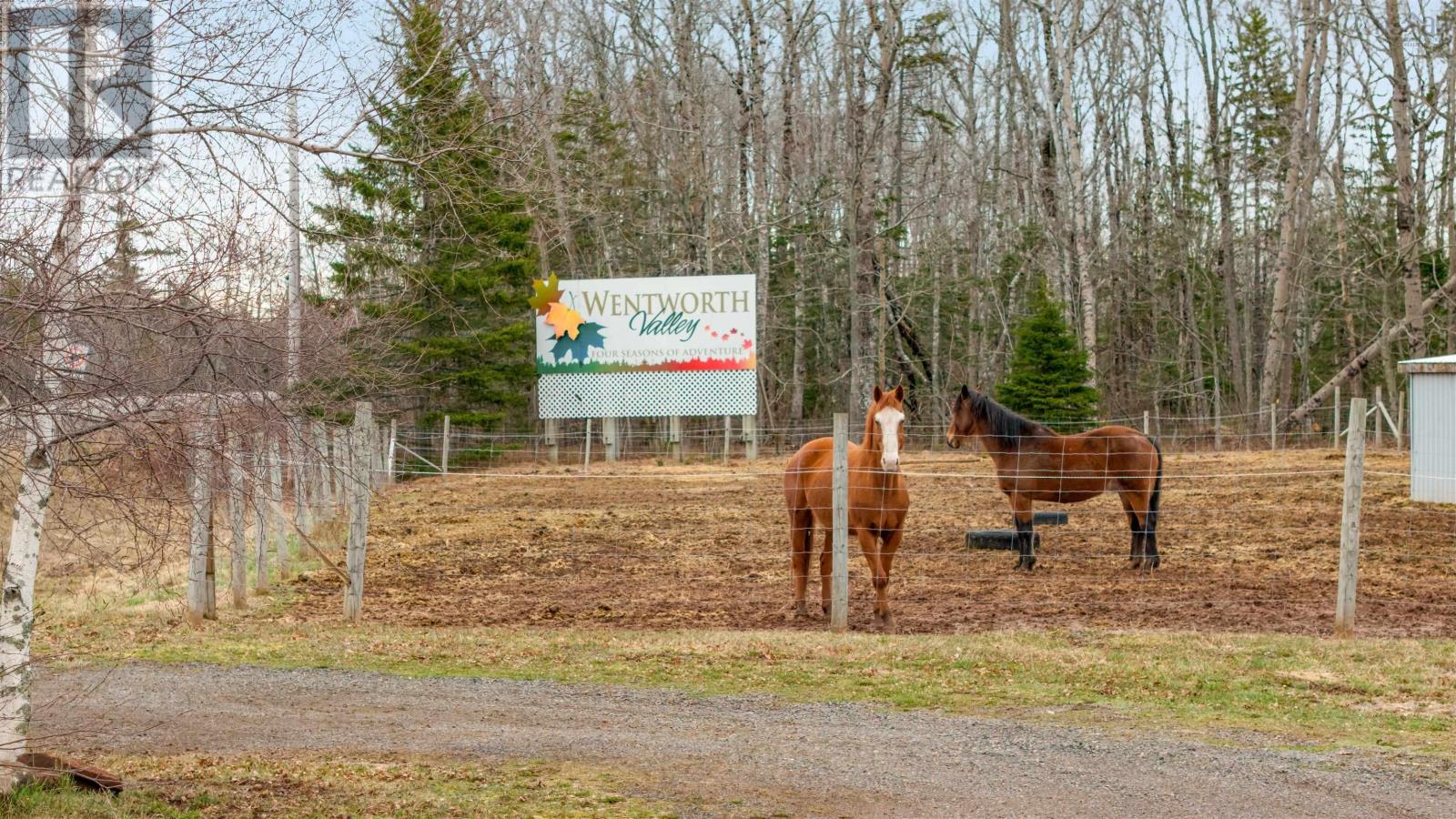 12032 Highway 4, West Wentworth, Nova Scotia  B0M 1Z0 - Photo 6 - 202607854